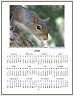 Free Printable 2008 Year at a Glance Photo Calendar