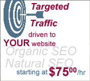 Organic SEO - Natural Search Engine Optimization by David Williams Drives Targeted Traffic to Your Web Site!