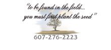 To be found in the field... you must first plant the seed. Call David Williams for a Web Consultation Today 607-276-2223