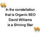 customer comment "In the constellation that is Organic SEO, David Williams is a Shining Star!"