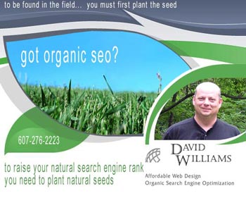 Got Organic SEO? To raise your placement in the organic (natural) search engine results you need to plant organic (natural) seeds for growth. David Williams offers Organic Search Engine Optimization (SEO) services based on "White Hat" search engine optimization best practices.
